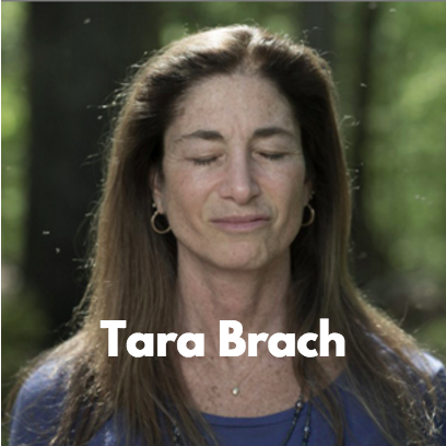 Connection Podcasts - Tara Brach