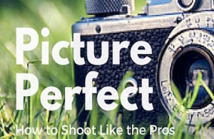 picture perfect