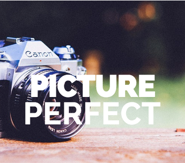 Picture Perfect